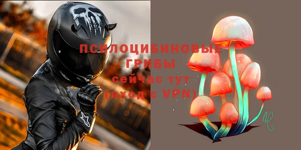 спиды Аркадак