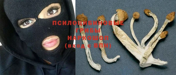 Альфа ПВП Арсеньев